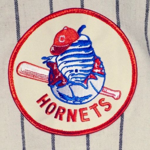 Charlotte Hornets Baseball Patch