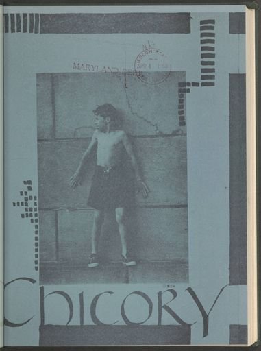 Chicory