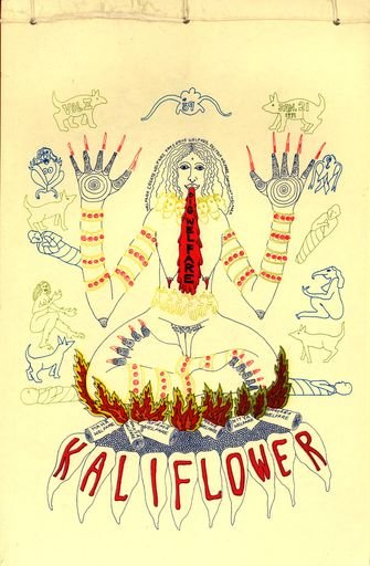 Cover of Kaliflower Vol. 2, No. 39