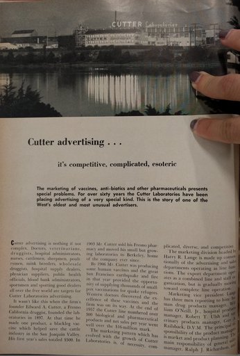 “Cutter advertising... it’s competitive, complicated, esoteric”