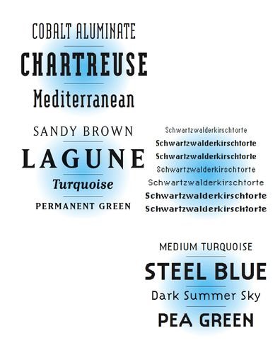 Four typefaces by Zuzana Licko