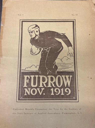 Furrow (Vol. 3, No. 11, 1919)