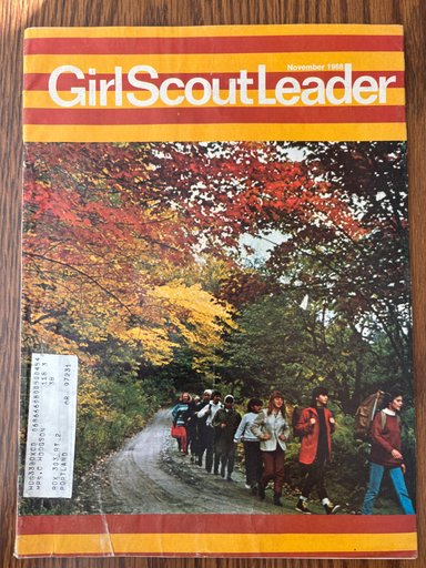 Girls Scout Leader