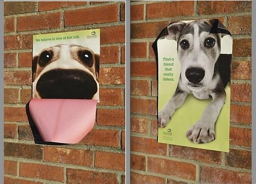 “Love at First Lick” 