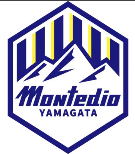 Montedio Yamagata logo