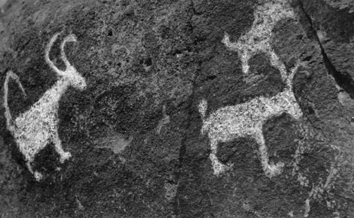 Native American petroglyph rock carvings near Tucson, Arizona