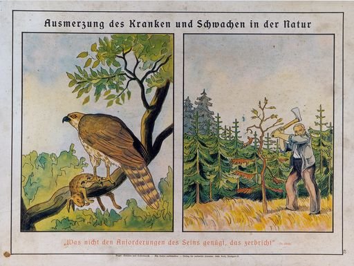 Nazi Eugenics Propaganda