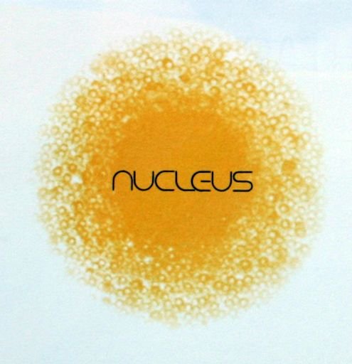 Nucleus logo