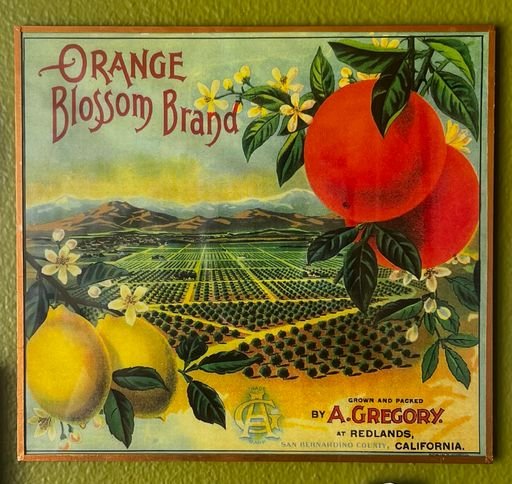 “Orange Blossom Brand” Citrus Crate Label