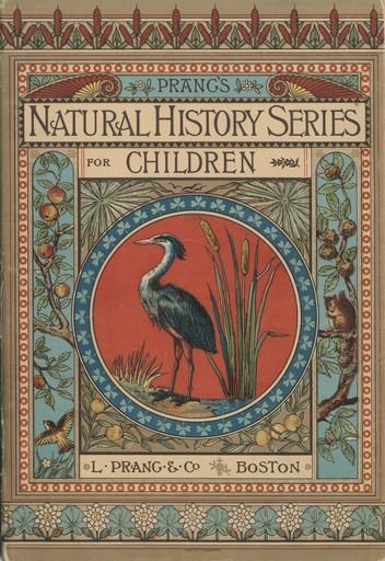 Prang's Natural History Series for Children - Wading Birds