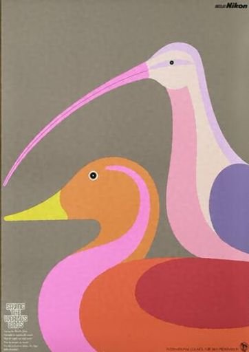 Saving the World's Birds (世界の鳥を救おう)