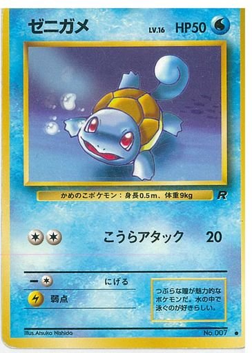 Squirtle 「ゼニガメ」