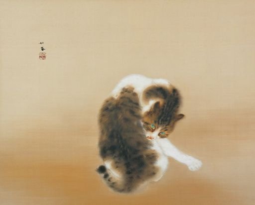 Tabby Cat 班猫