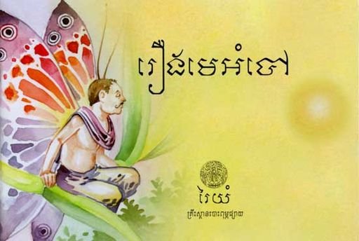 THE BUTTERFLIES AND THE MASTERY OF THE LIGHT