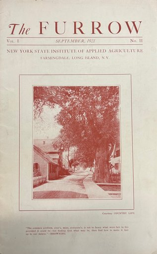 The Furrow (Vol.1, No.11, 1921)