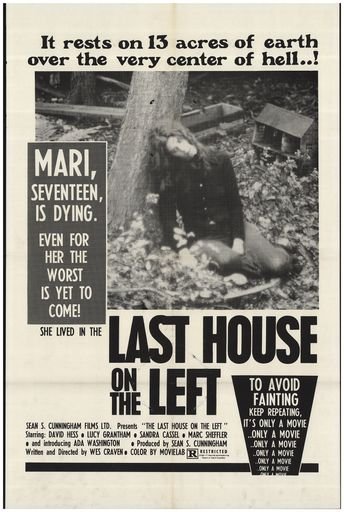 The Last House on the Left Movie Poster