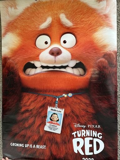 Turning Red (2022)