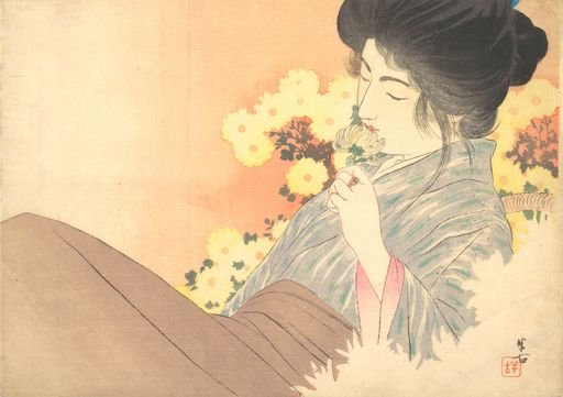 White Chrysanthemums (Kiku no kaori)