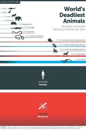 World’s Deadliest Animals infographic, Bill Gates 2014