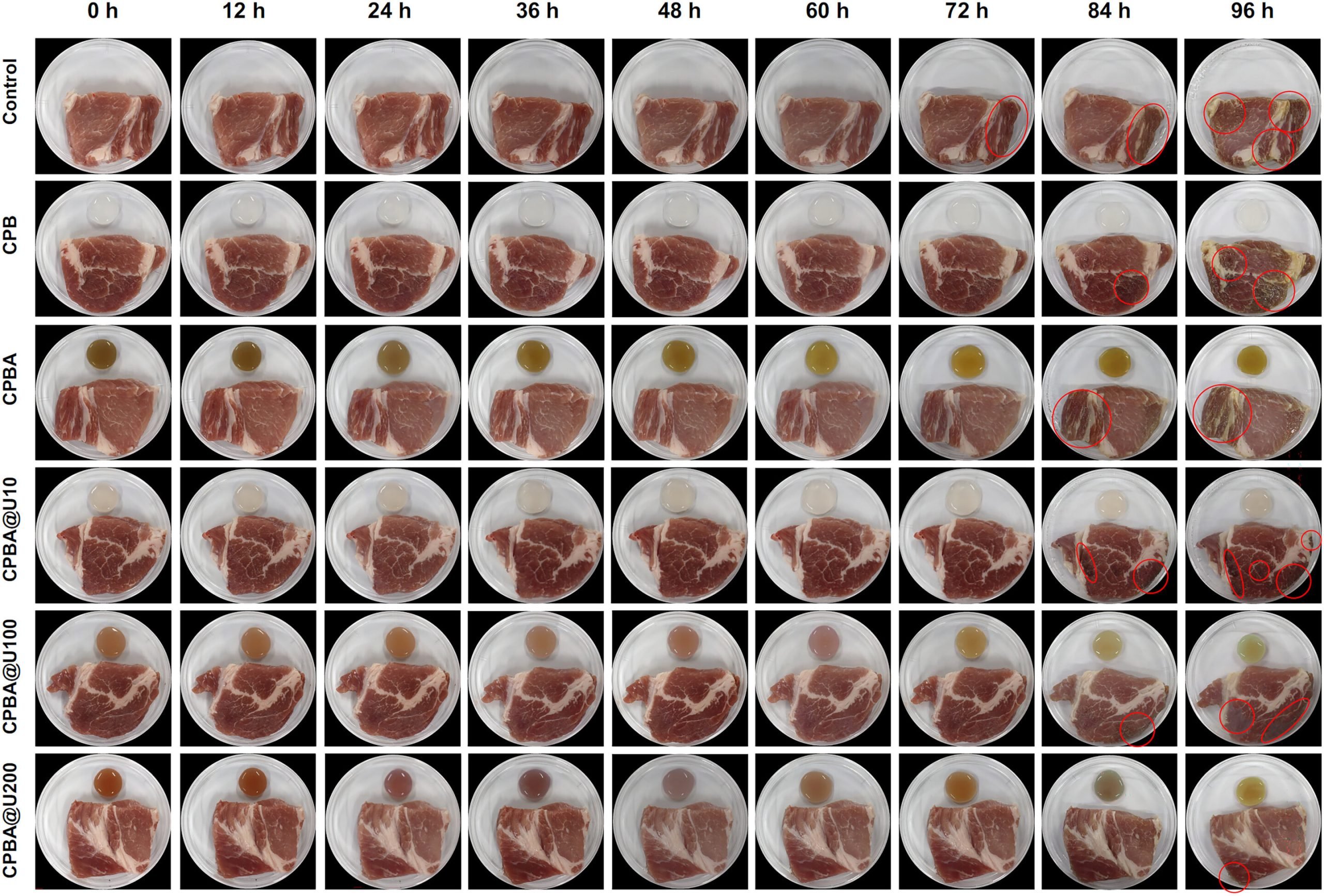 What If Packaging Could Detect Spoiled Food AND Self-Heal?